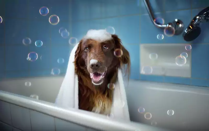 Spa Bath